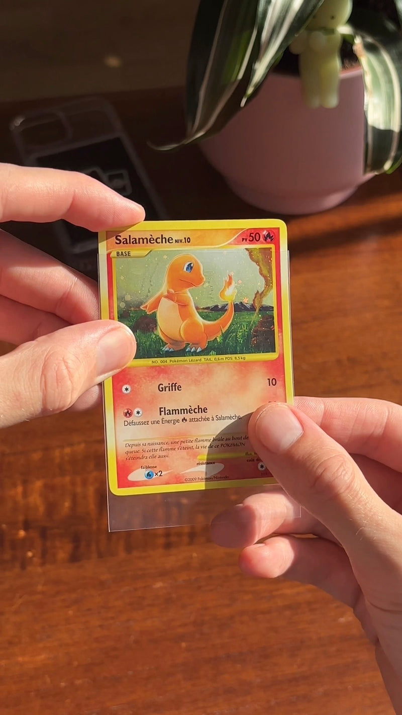 Transparent case